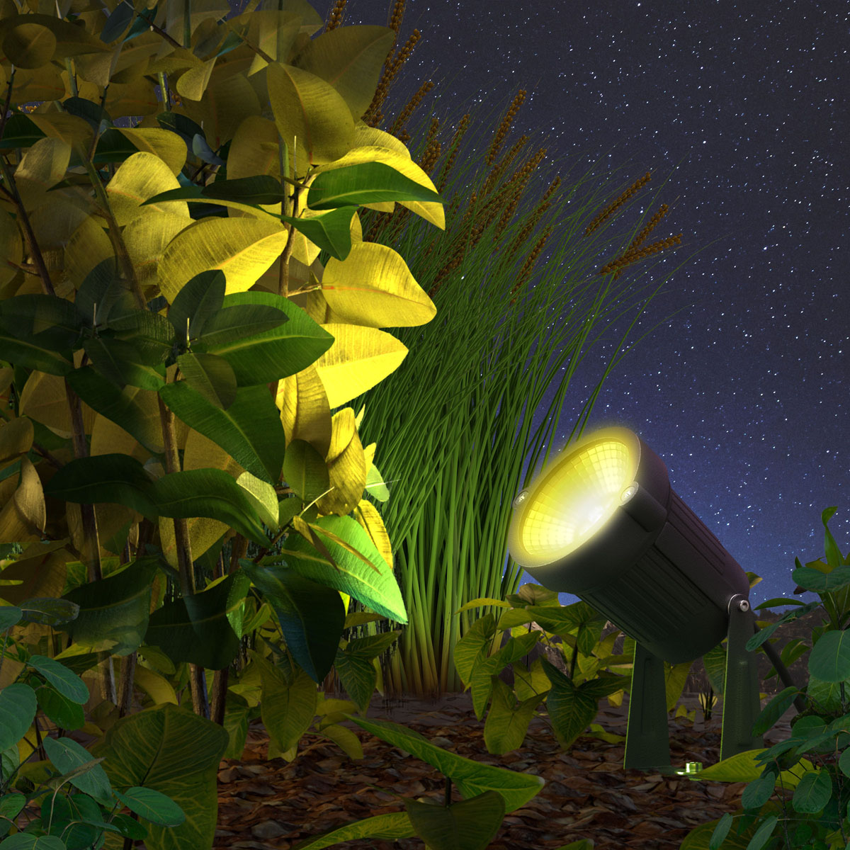 Outdoor Spot Light Colour Garden