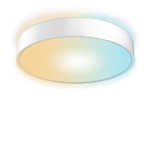 Round Ceiling Lamp Comfort